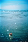 dailyPhoto5